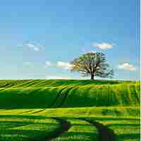 seo 优​化﻿技‍术‍难‍度‍大‌吗‍为﻿什​么​